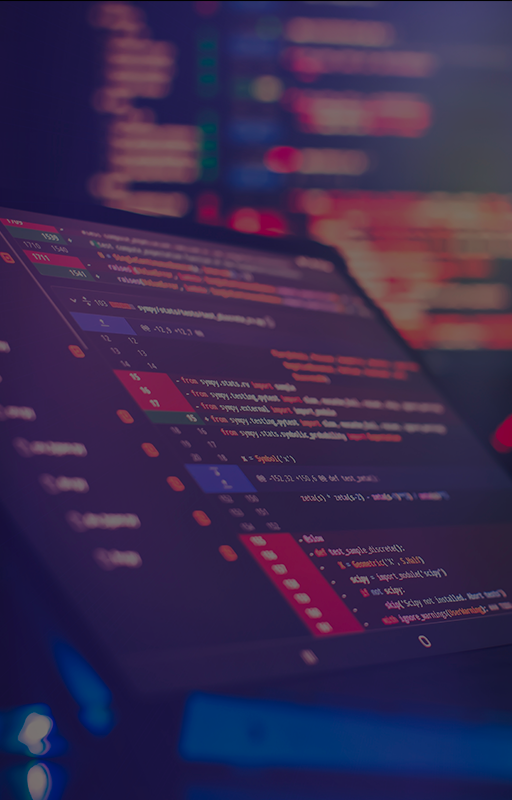 INFORMATION TECHNOLOGIES<br /> AND AVIONIC SERVICES