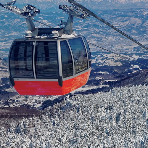 Ropeways Systems